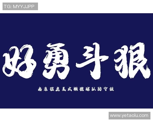 南京飞盘队区域防守新策略探讨与实践成果分析