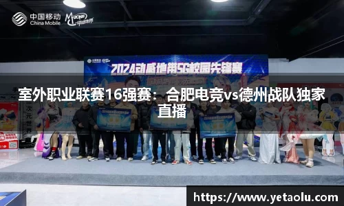 3377官网