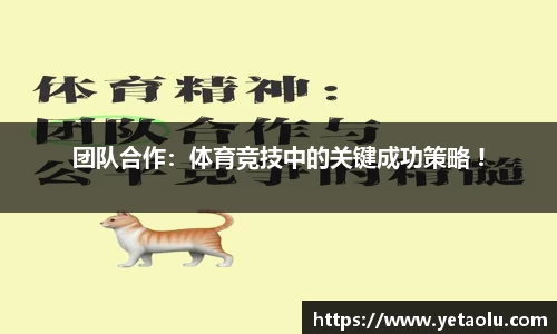 3377体育